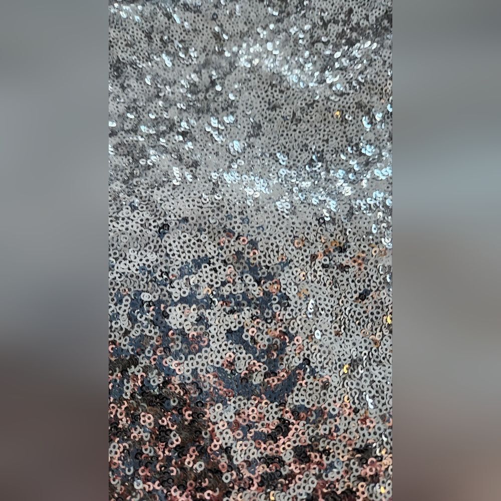 NWOT Victoria Secret silver sequin skirt - Size Small - Picture 9 of 9